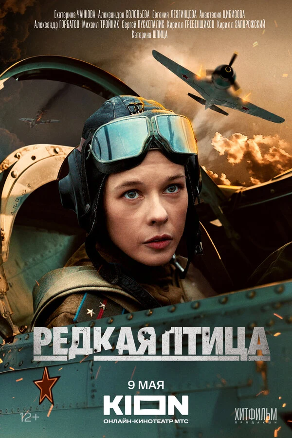 Александра Соловьева